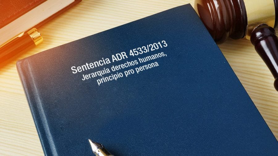 derechos humanos principio pro persona