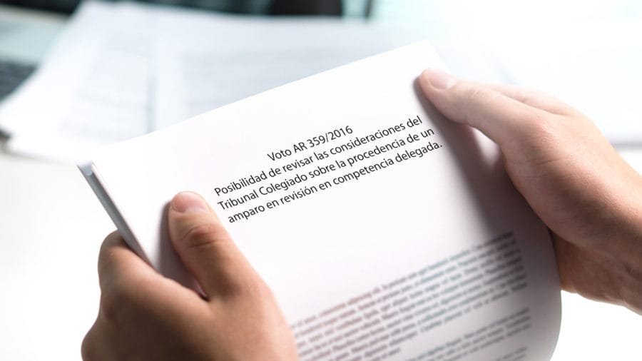 posibilidad de revisar las consideraciones del tribunal